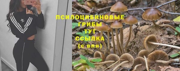 дживик Иннополис